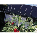 Tuteur tomates TOMATO SPIRALE