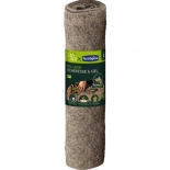 Paillage sécheresse